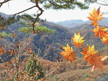 钟南山最新发声，科学防疫，共筑健康防线
